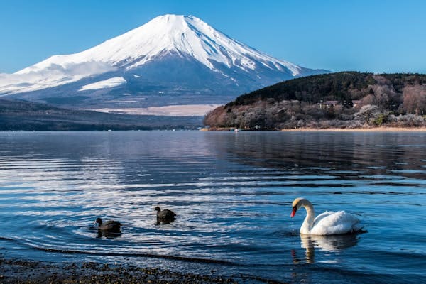 fuji